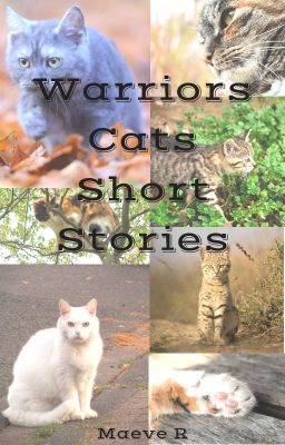 Warriors Cats Short Stories cover