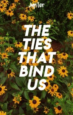 THE TIES THAT BINDS US - drarry  cover