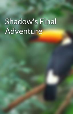 Shadow's Final Adventure cover