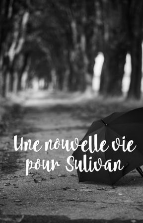 Une nouvelle vie pour Sulivan  by chillchroniques