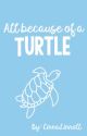 All Because of a Turtle [Modern Day Lams FanFiction] by CinnaLinRoll