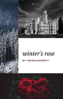 Winter's Rose ~A Beauty and the Beast Retelling~ cover