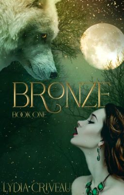 Bronze cover