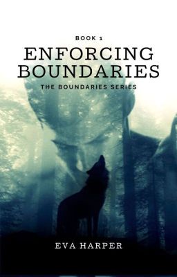 Enforcing Boundaries (Book 1) cover