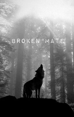 Broken Mate cover