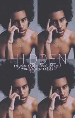 Hidden (A Princeton Love Story) cover