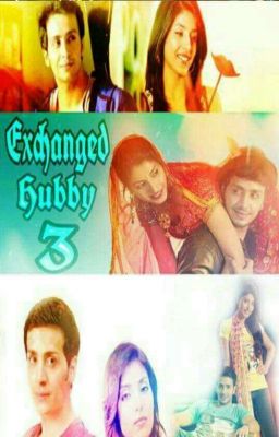 Exchanged Hubby 3 cover