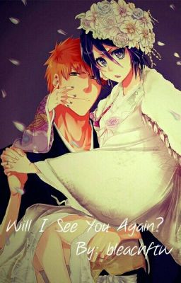 Will I See You Again? (IchiRuki Fanfiction: BOOK 1) cover