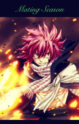 Fairy Tail Dragon and Devil slayer mating season cover