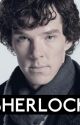 Sherlock: the Lost Cases (Sherlock x Female!Reader) by LayceJ25