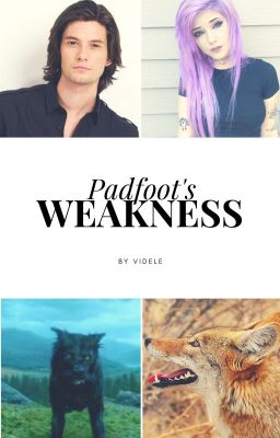 Padfoot's Weakness - HP / Marauders time travel cover