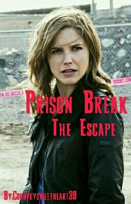 Prison Break ~The Escape ~ cover