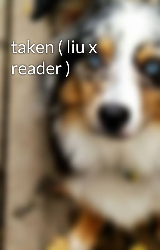 taken ( liu x reader ) by creepypastagall