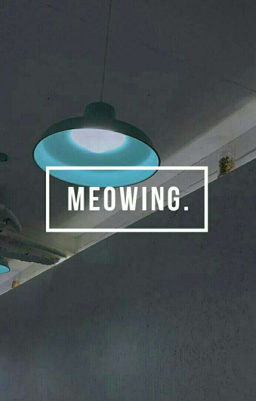 Meowing → J.Jiwoon by -serenewei