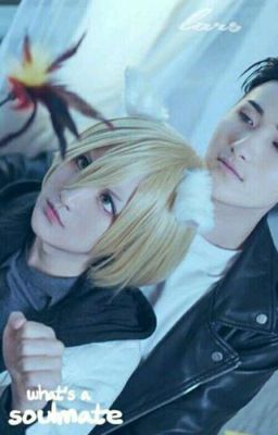 What's a soulmate? ~ OtaYuri cover