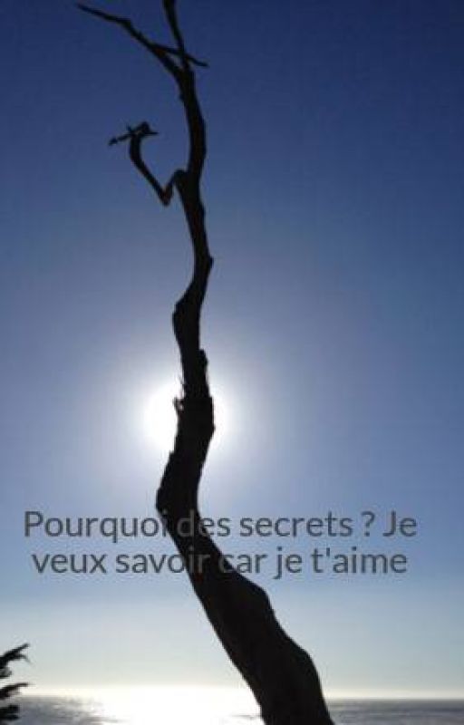 Pourquoi des secrets ? (Arrêt de cette Histoire je Recommencerai Plus Tard) by Iris9765