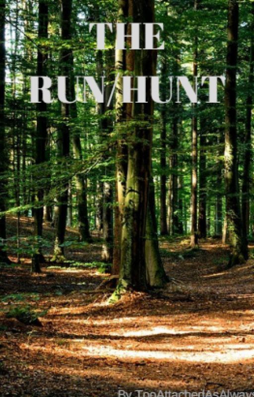 The Run/Hunt by TooAttachedAsAlways