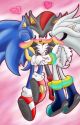 sonadow o shadilver.- your game by mikunagi