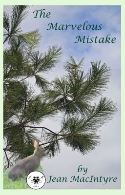 The Marvelous Mistake cover