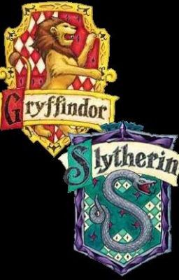 Slytherin Prince & Gryffindor Princess cover