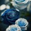 Blue_Rose_0907