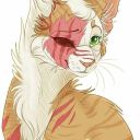 Brightheart_Swiftpaw