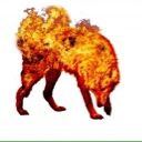 Firewulf