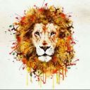 TheLionNeverRoars