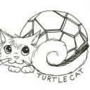 TurtleCat5