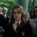 hermionesslytherin