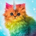 rainbowkittens200