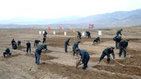 联合国人权办事处发布朝鲜强制劳动报告