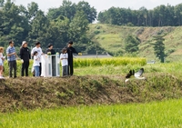 [게시판] 보령, 예산군과 멸종위기 '황새' 보전 활동