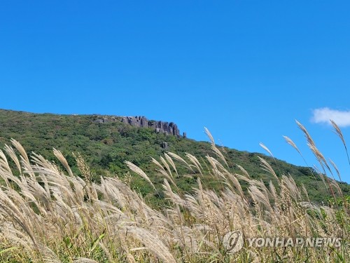 '가을 정취 만끽'…전국 곳곳에 찾아온 완연한 가을날