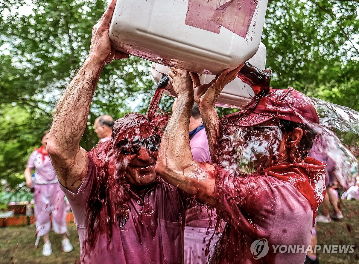 '4만 리터 와인 쏟으며'…스페인 하로 마을 전통 '와인 전투'