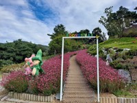 원주 동화마을수목원 맨발걷기축제 29일 개최