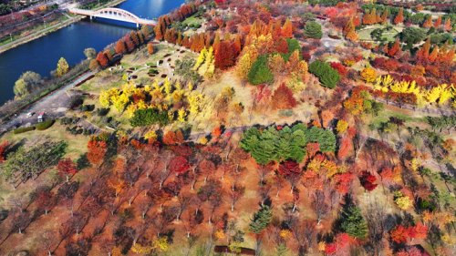 >'오색 단풍'…경기 안산호수공원