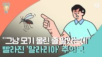 [리빙톡] "모기 물린 줄 알았는데"…빨라진 '말라리아' 주의보