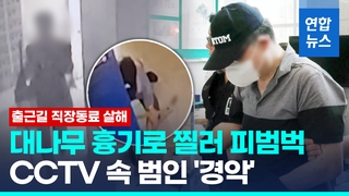 [영상] 대나무 흉기 숨겼다가 현관문 열자마자…CCTV 속 범인 '경악'