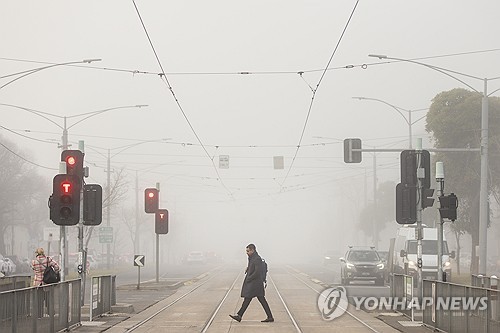 '여기는 겨울'…호주 멜버른 색다른 7월의 겨울 풍경