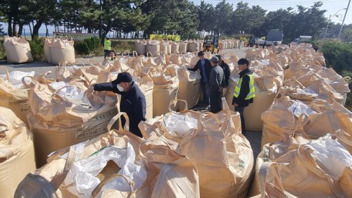 >공공비축미 수매 한창 