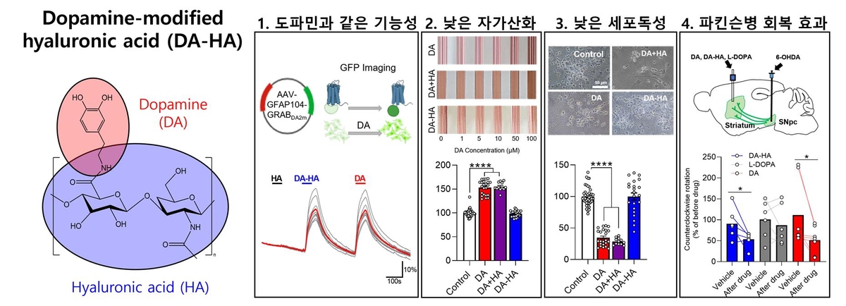 도파민 유사체의 저독성 확인…"파킨슨병 치료제 상용화 추진"