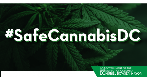 #SafeCannabisDC