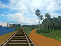 R/R Tracks in Angola, January 1916 by meerkatfamily