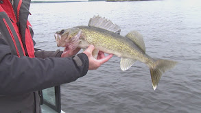 Kabetogama: Walleyes Galore thumbnail