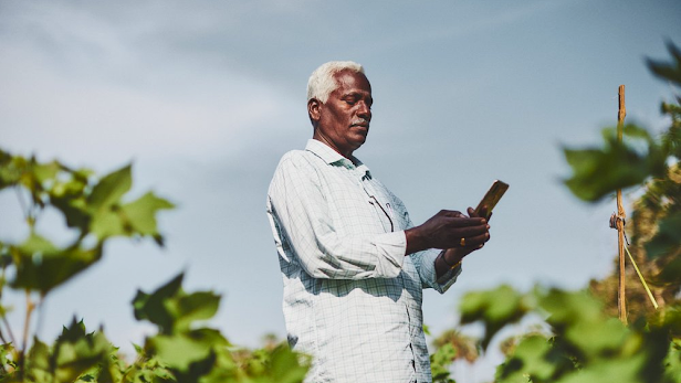 An Indian man stands in a field and looks down at his smart phone