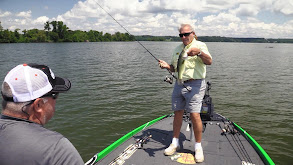 Potomac River Bass thumbnail