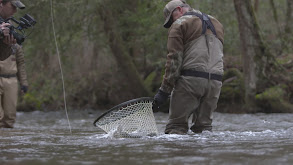 Southern Stream Management thumbnail