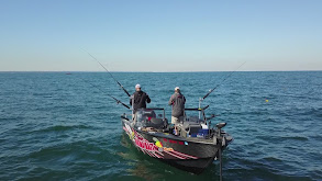 Spinner Trolling for Eastern Basin Walleye thumbnail