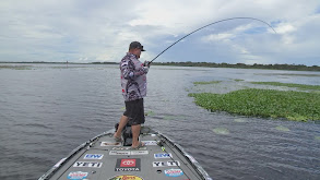 Wrestle an Alligator on the Bank thumbnail